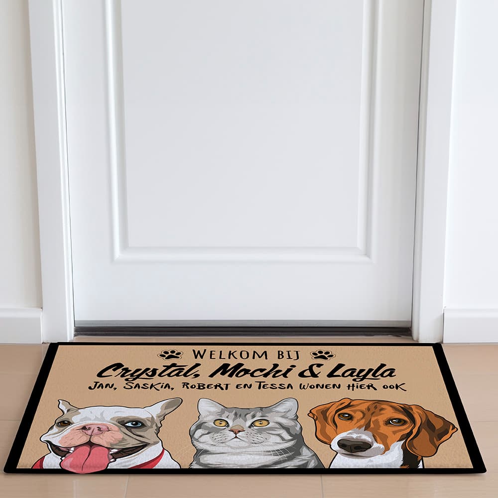 Pet door mat